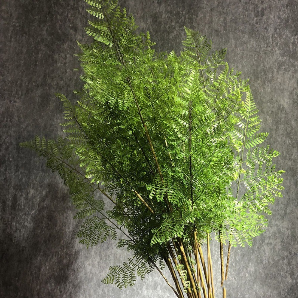Preserved Moss Sheet - فروع نباتات سرخس اصطناعية واقعية، نباتات
