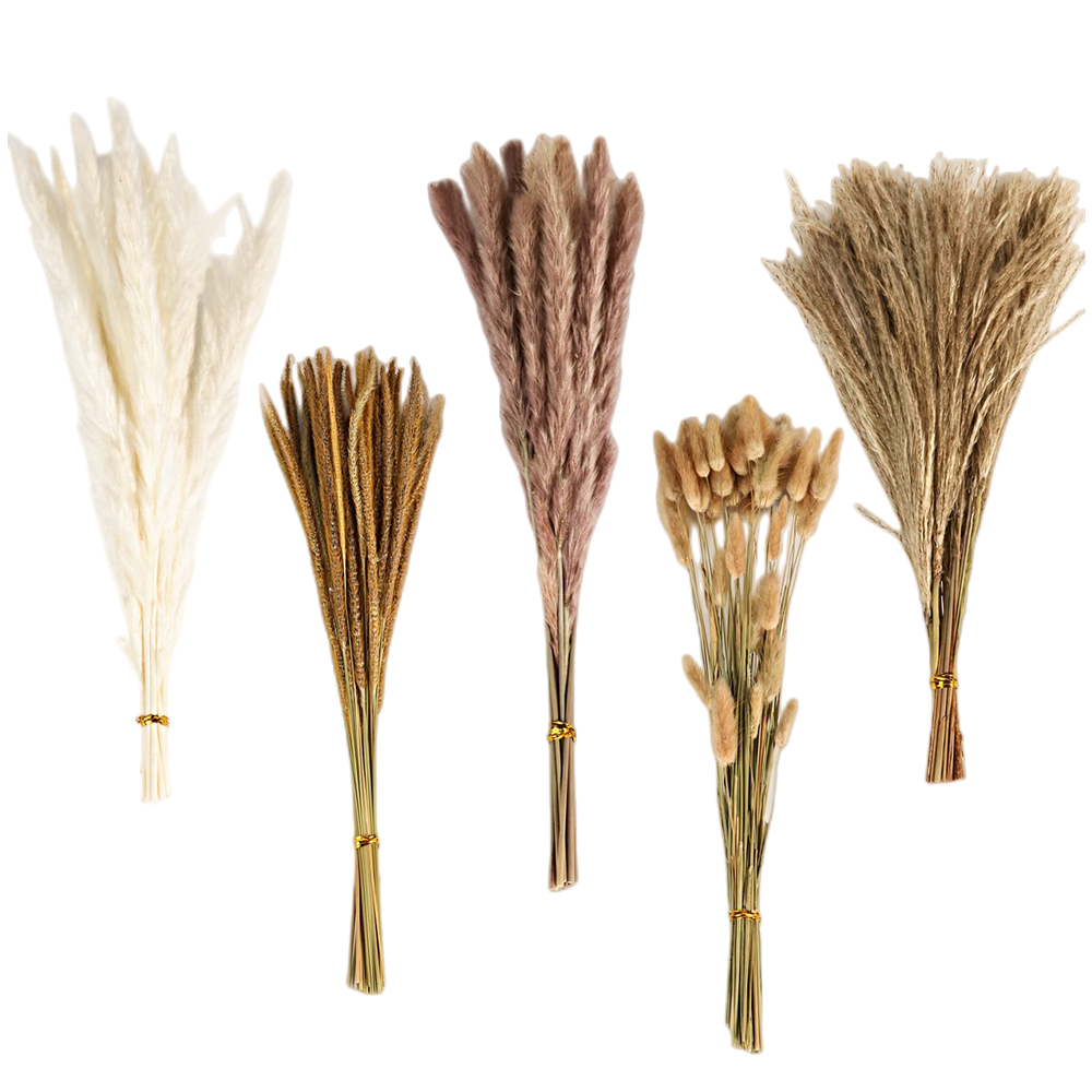 باقة زهور مجففة مختلطة بتصميم  - مراجعة Supply Florist وسعره