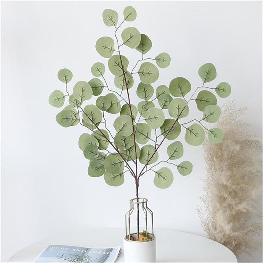 أوراق الكافور الكرمة النباتات - مراجعة Florist Supply Vases وسعره