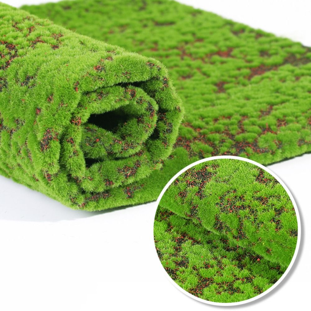 DIY بها بنفسك عشب الطحلب المزي - مراجعة Preserved Moss Sheet وسعره
