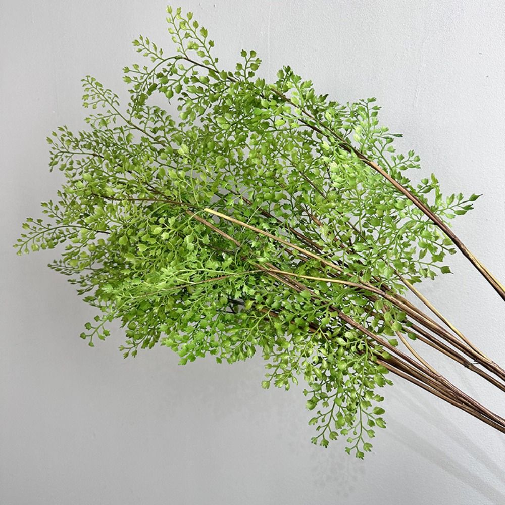 فروع نباتات سرخس اصطناعية واقع - مراجعة Preserved Moss Sheet وسعره