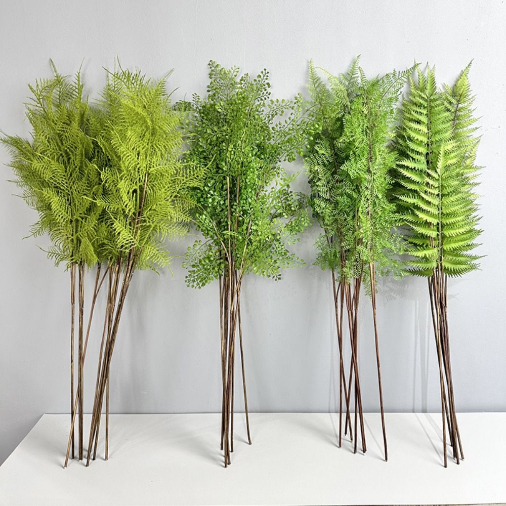 فروع نباتات سرخس اصطناعية واقع - مراجعة Preserved Moss Sheet وسعره